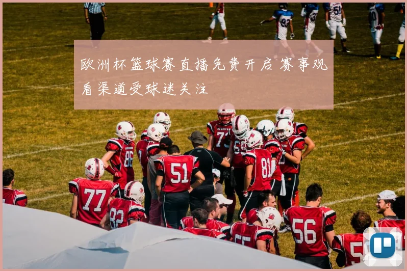 欧洲杯篮球赛直播免费开启 赛事观看渠道受球迷关注