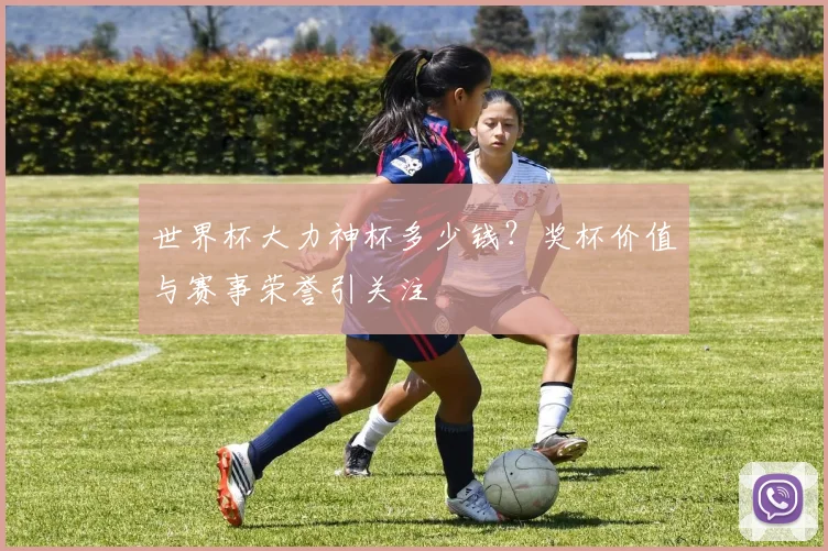 世界杯大力神杯多少钱？奖杯价值与赛事荣誉引关注