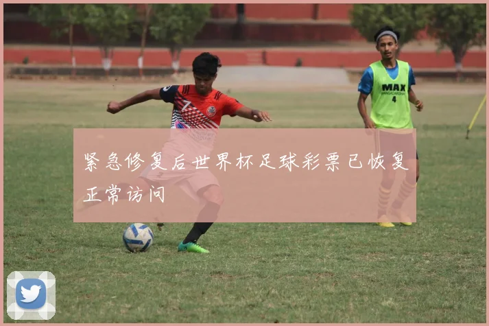 紧急修复后世界杯足球彩票已恢复正常访问