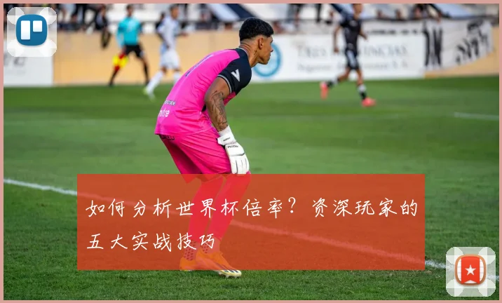 如何分析世界杯倍率？资深玩家的五大实战技巧