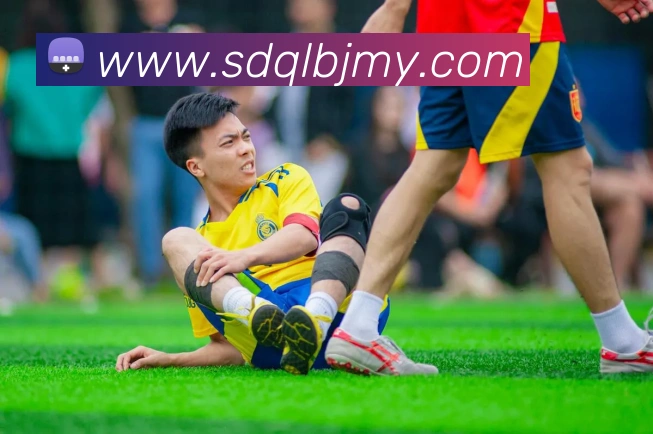 世界杯官网登录app平台生态图